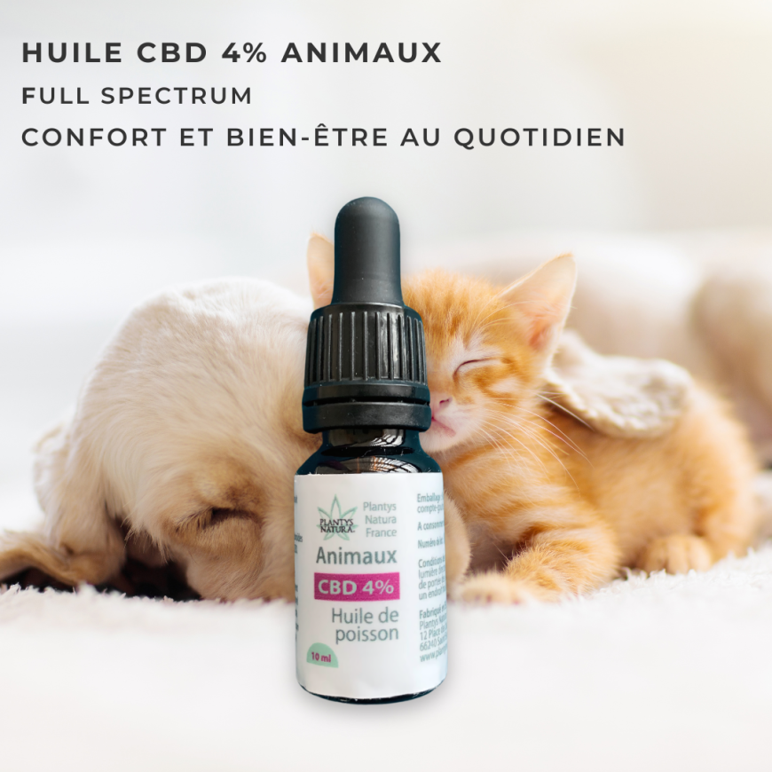 huile cbd 4 animaux chien chat confort bien etre naturel