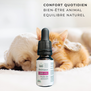 huile cbd 4 animaux bienfaits confort bien etre chien chat naturel
