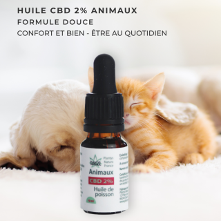 huile cbd 2 animaux chien chat confort bien etre naturel