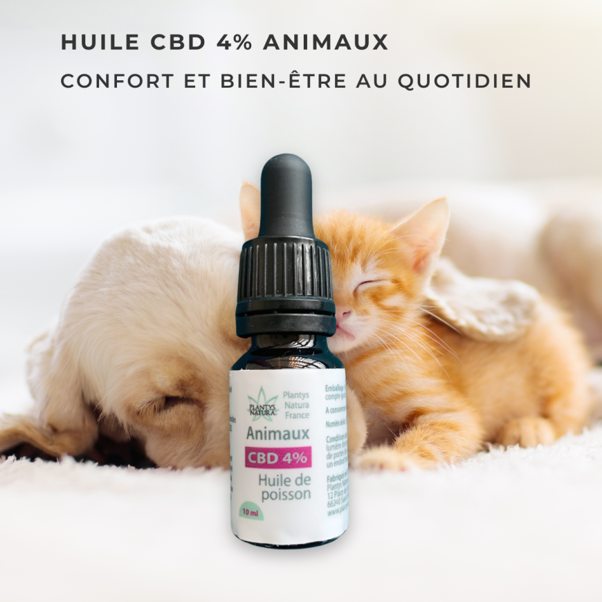 huile cbd 4 animaux chien chat confort bien etre naturel
