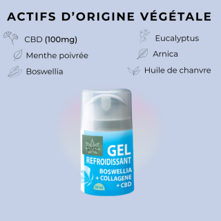 Gel effet froid CBD 50 ml actifs menthe eucalyptus arnica boswellia huile de chanvre