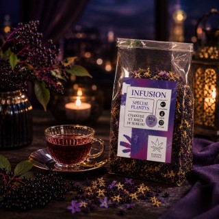 Infusion CBD baie de sureau Plantys Natura dans une ambiance soirée raffinée et cocooning