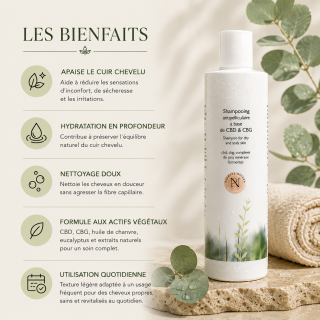 Les bienfaits du shampoing antipelliculaire CBD & CBG Plantys Natura dans une ambiance haircare premium naturelle
