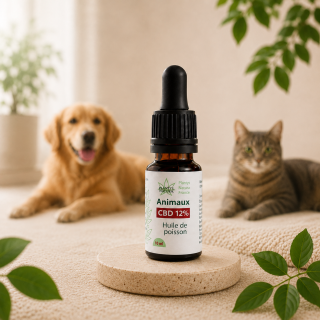 Huile CBD 12% à l’huile de poisson pour chiens et chats de plus de 22 kg – Plantys Natura