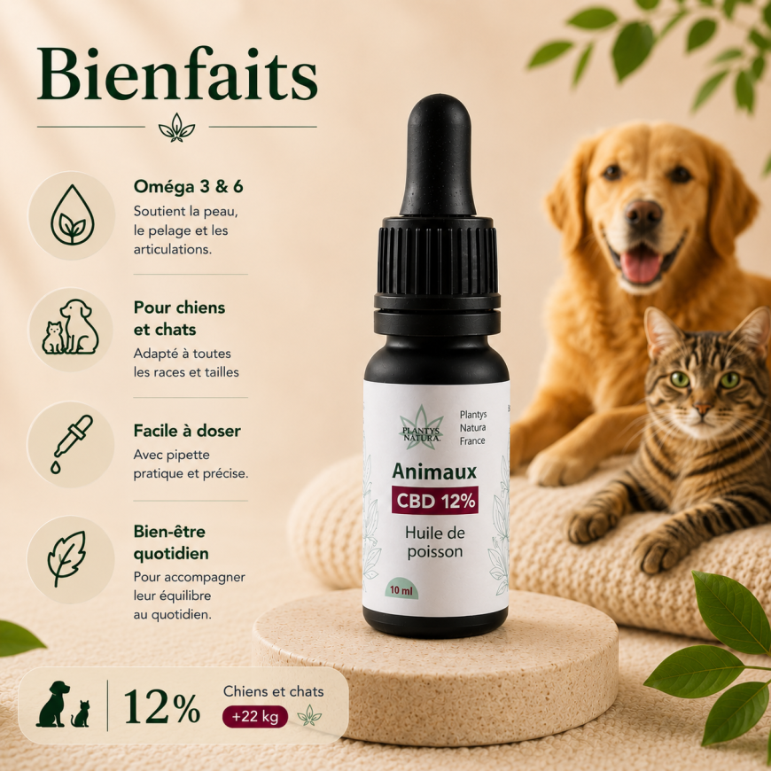 Huile CBD 12% animaux Plantys Natura – bienfaits pour chiens et chats de plus de 22 kg